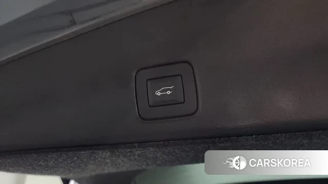 Chevrolet (GM Daewoo) Trailblazer id 3631146 из Кореи 11