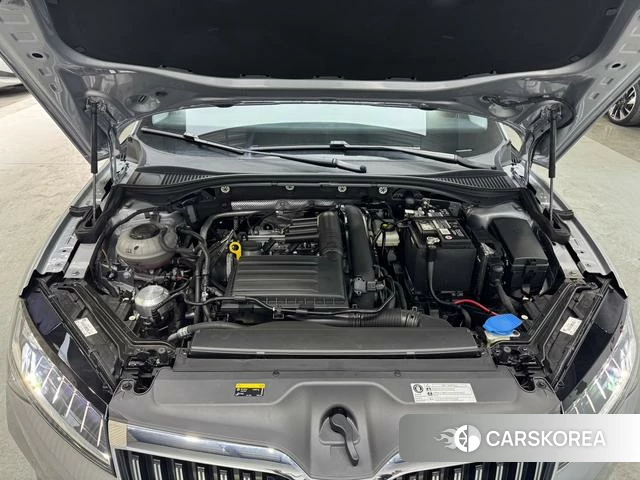 Skoda Speed pie id 4239098 из Китая 11