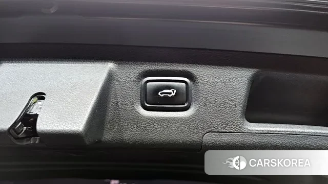 Hyundai Santa Fe TM id 3661411 из Кореи 11