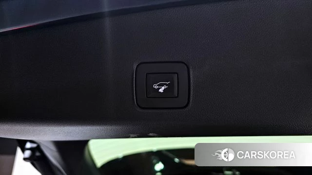 Chevrolet (GM Daewoo) Trailblazer id 3916195 из Кореи 11