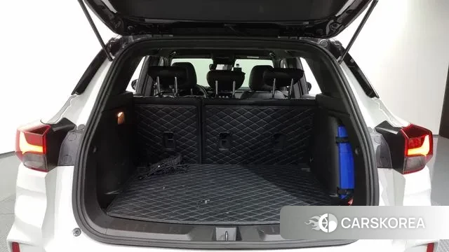 Chevrolet (GM Daewoo) Trailblazer id 3349570 из Кореи 11