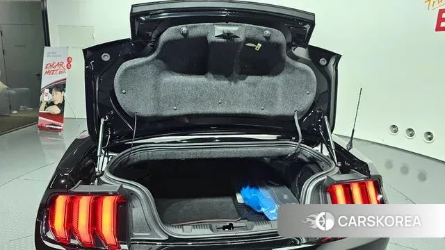 Ford Mustang id 3328315 из Кореи 11