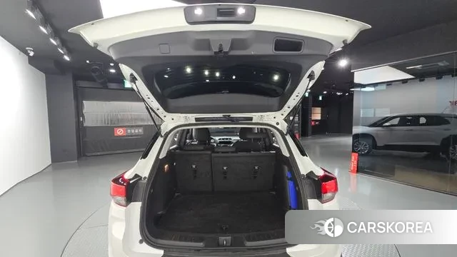 Chevrolet (GM Daewoo) Trailblazer id 3421606 из Кореи 11