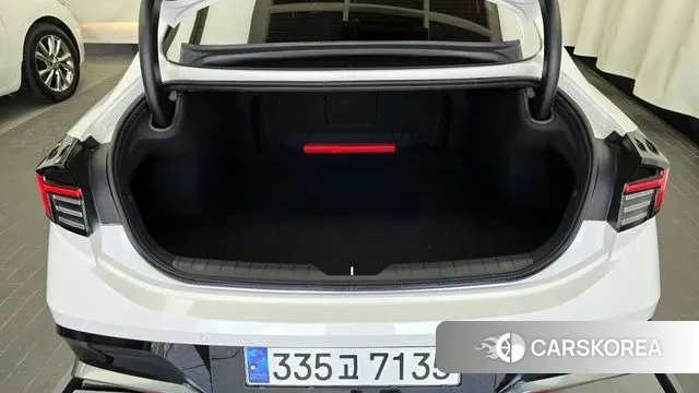 Hyundai Sonata D Edge (DN8) id 3011382 из Кореи 11