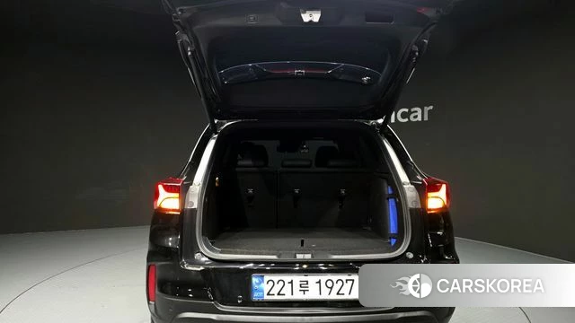 Chevrolet (GM Daewoo) Trailblazer id 3903545 из Кореи 11