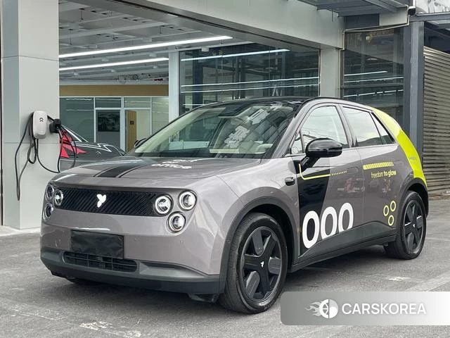 firefly firefly Unknown id 4182703 из Китая 11