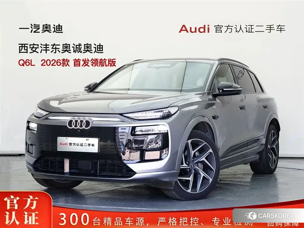 Audi Q6L e-tron id 4583853 из Китая 11