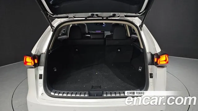 Lexus NX300h id 2951021 из Кореи 11