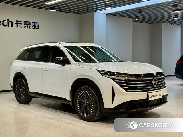 Nissan Exploring the land id 3896018 из Китая 11