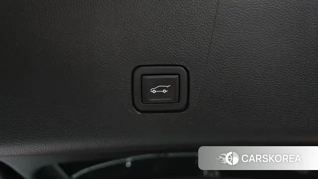 Chevrolet (GM Daewoo) Traverse id 3753533 из Кореи 11