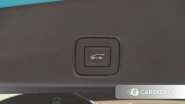 Chevrolet (GM Daewoo) Trailblazer id 3444024 из Кореи 11