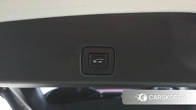 Chevrolet (GM Daewoo) Trailblazer id 4835904 из Кореи 11