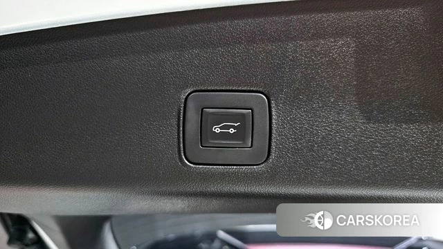 Chevrolet (GM Daewoo) Trailblazer id 4018915 из Кореи 11