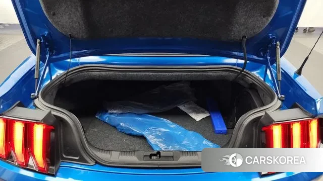 Ford Mustang id 3028386 из Кореи 11