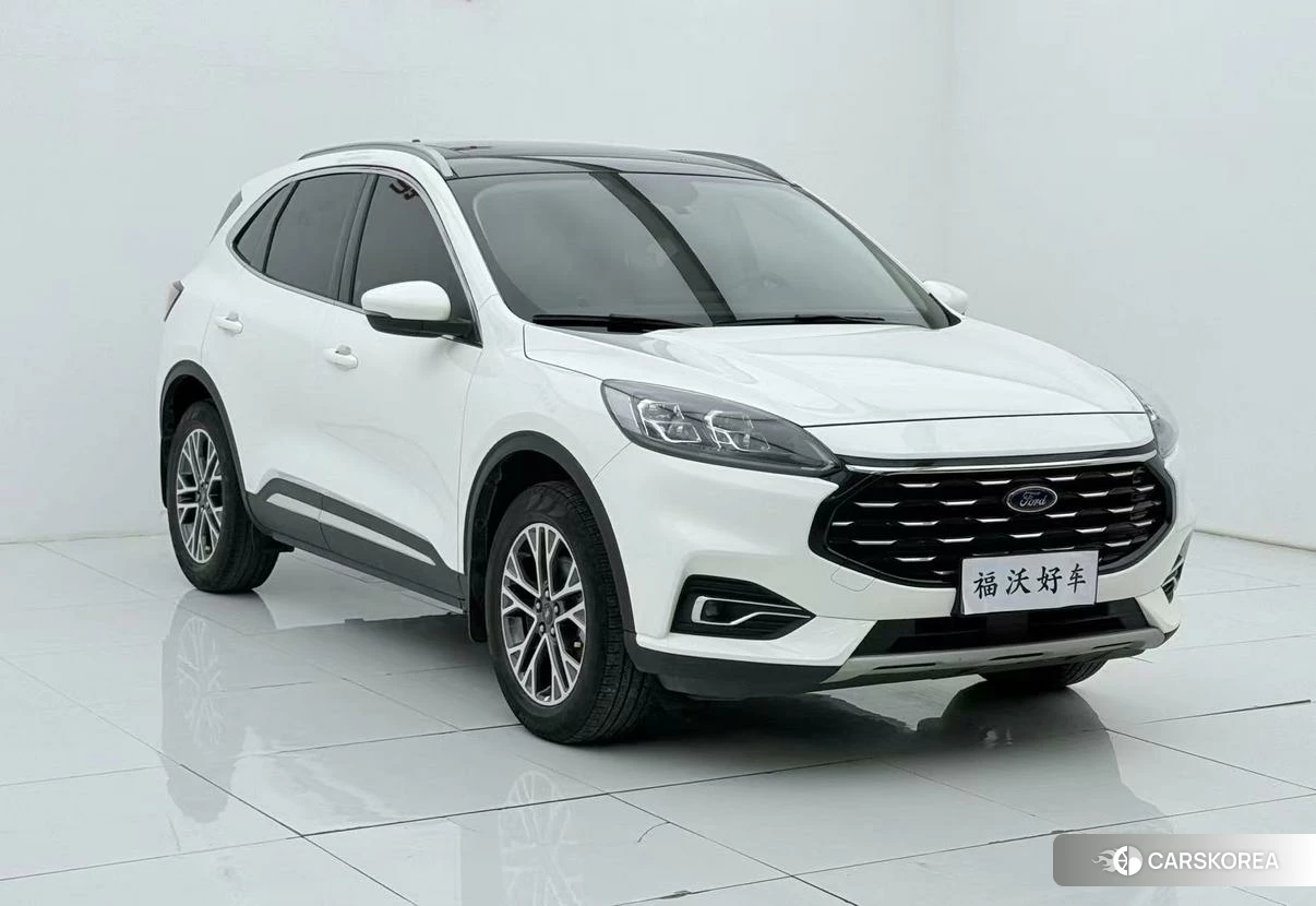 Ford Ruiji id 4455068 из Китая 11