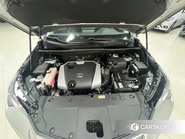 Lexus NX id 4277219 из Китая 11