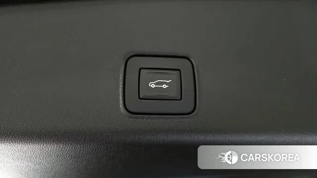 Chevrolet (GM Daewoo) Trailblazer id 3727803 из Кореи 11