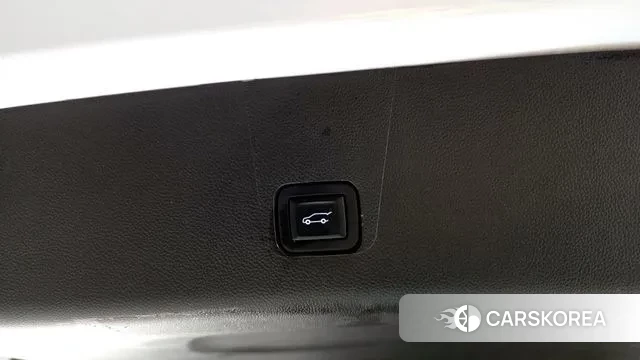 Chevrolet (GM Daewoo) Traverse id 3592804 из Кореи 11