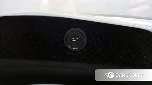 Tesla Model 3 id 3212146 из Кореи 11