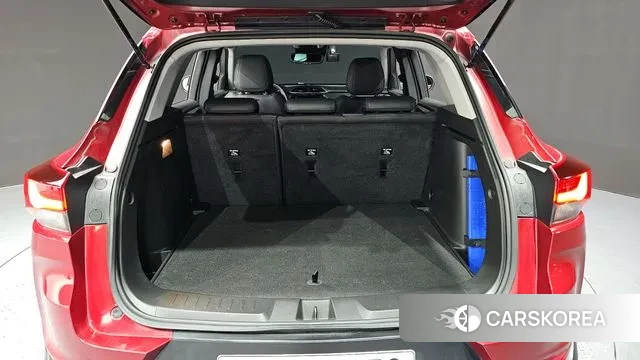 Chevrolet (GM Daewoo) Trailblazer id 3727574 из Кореи 11