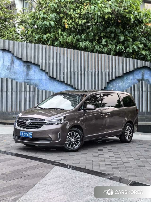 Buick GL8 id 4221051 из Китая 11