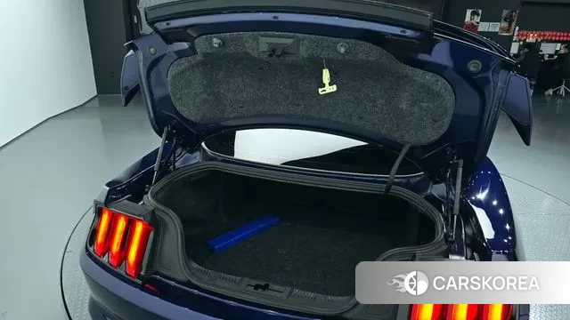 Ford Mustang id 3429099 из Кореи 11