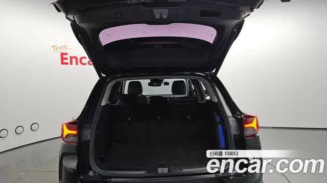 Chevrolet (GM Daewoo) Trailblazer id 2921473 из Кореи 11