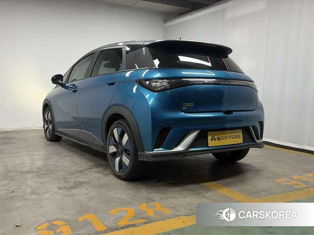 BYD dolphin id 4216848 из Китая 11