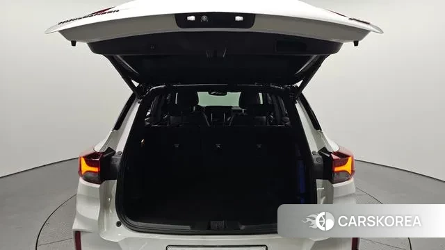 Chevrolet (GM Daewoo) Trailblazer id 3741999 из Кореи 11