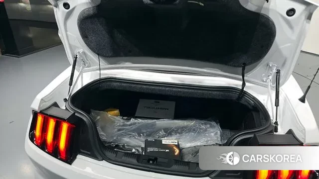 Ford Mustang id 3319080 из Кореи 11