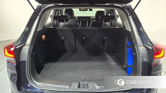 Chevrolet (GM Daewoo) Trailblazer id 3736403 из Кореи 11