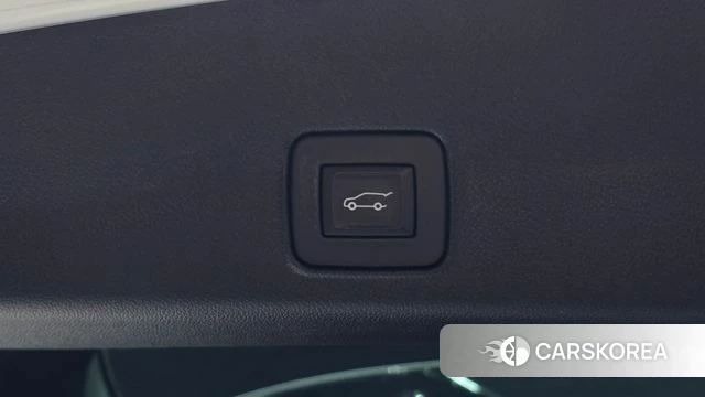 Chevrolet (GM Daewoo) Trailblazer id 4631117 из Кореи 11