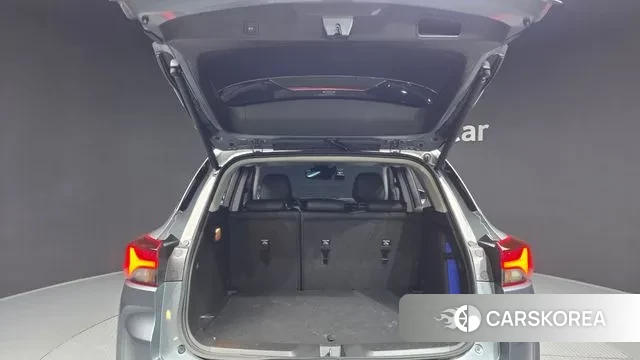 Chevrolet (GM Daewoo) Trailblazer id 3601008 из Кореи 11