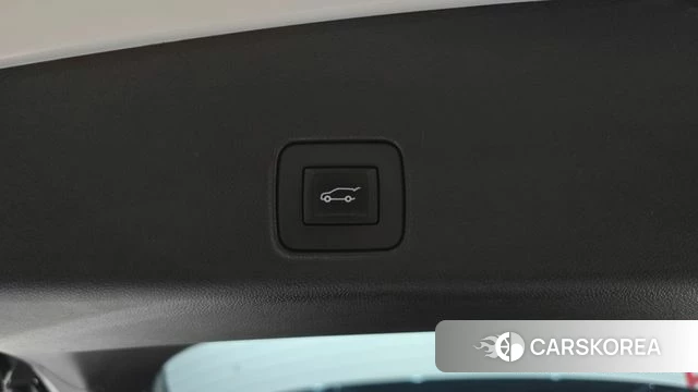 Chevrolet (GM Daewoo) Trailblazer id 4835663 из Кореи 11