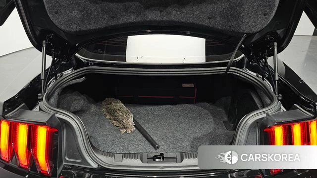 Ford Mustang id 3905199 из Кореи 11