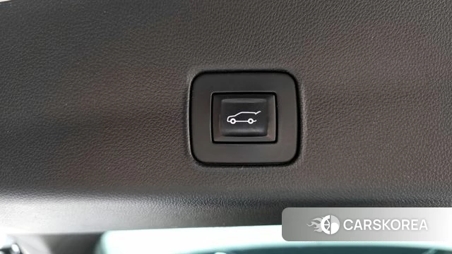 Chevrolet (GM Daewoo) Trailblazer id 4019681 из Кореи 11