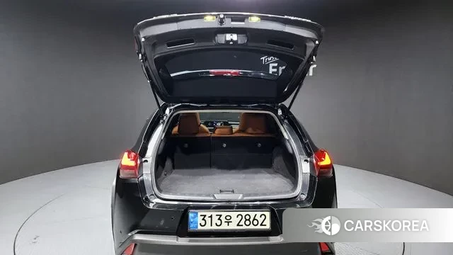 Lexus UX250h id 3428050 из Кореи 11