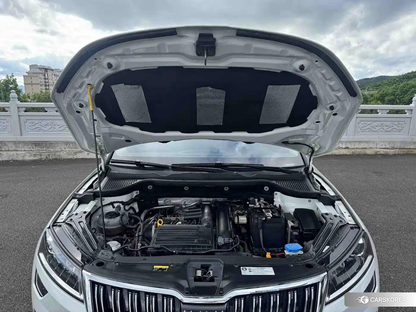 Skoda Karoq id 4669235 из Китая 11