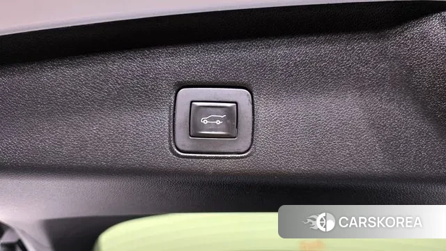 Chevrolet (GM Daewoo) Trailblazer id 3187333 из Кореи 11