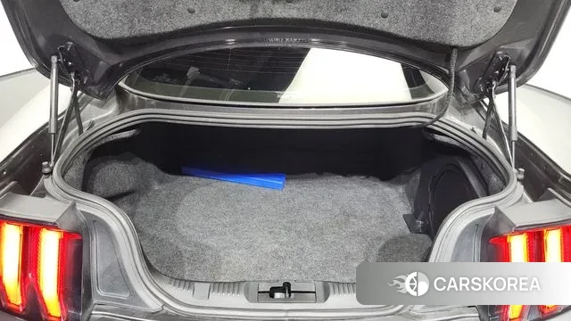 Ford Mustang id 3033371 из Кореи 11