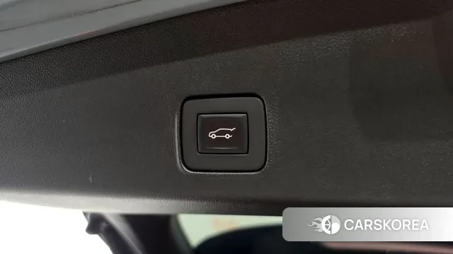 Chevrolet (GM Daewoo) Trailblazer id 3058624 из Кореи 11