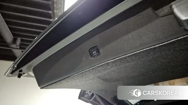 Chevrolet (GM Daewoo) Traverse id 3037062 из Кореи 11