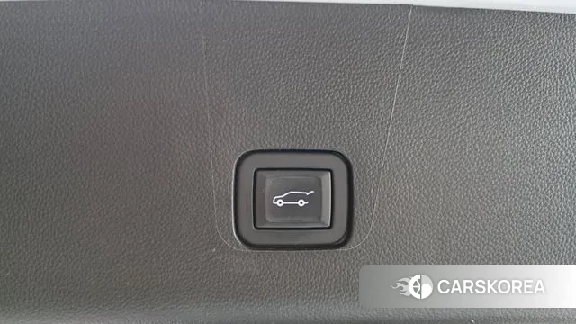 Chevrolet (GM Daewoo) Traverse id 3264007 из Кореи 11