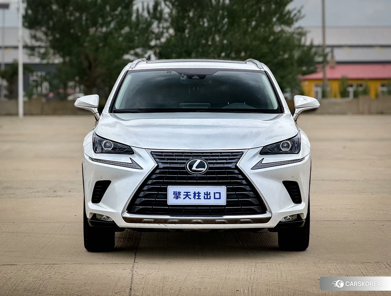 Lexus NX id 4420774 из Китая 11