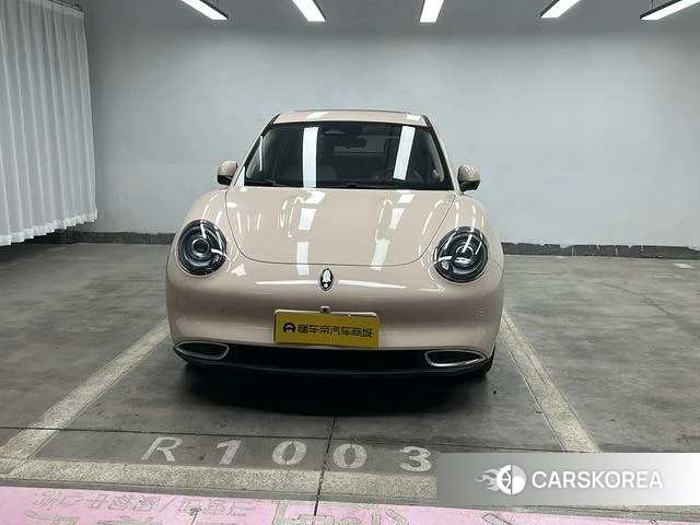 Euler Good cat id 3875987 из Китая 11