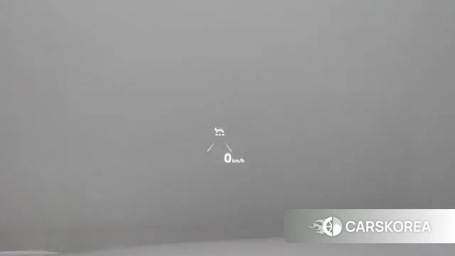 Hyundai Sonata (DN8) id 3754051 из Кореи 11