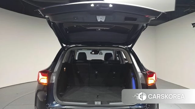 Chevrolet (GM Daewoo) Trailblazer id 4732363 из Кореи 11