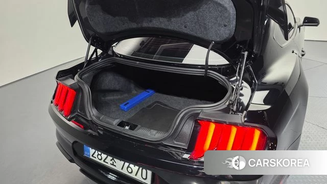 Ford Mustang id 3917010 из Кореи 11