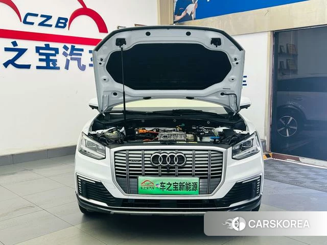 Audi Q2L e-tron id 4260790 из Китая 11