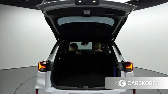 Chevrolet (GM Daewoo) Trailblazer id 3915655 из Кореи 11